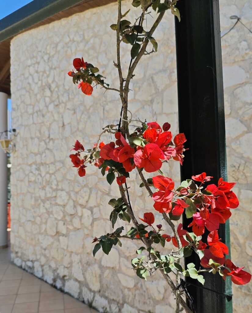 Sivota Lefkada: From Humble Fishing Village to Island Jewel
