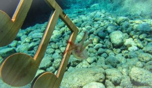 5th Artventure Camp in Lefkada