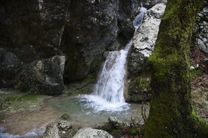 Dimosarri Waterfall in Nidri area