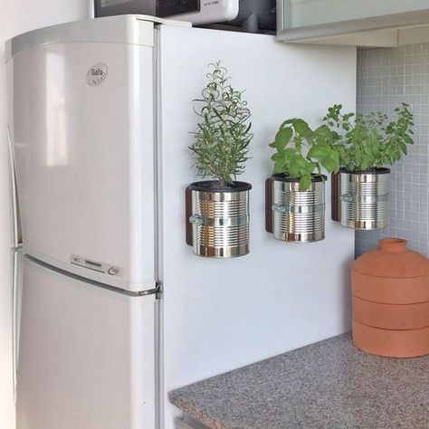 Small gardening ideas