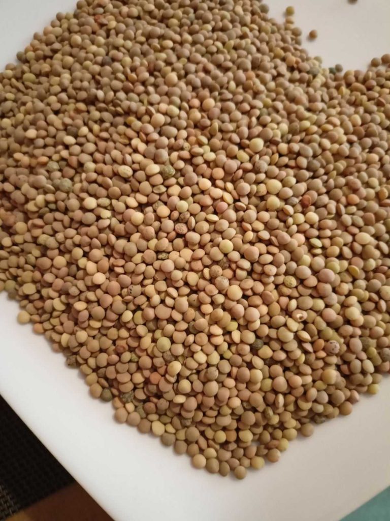 Lefkada’s Lentils: A nutritional choice with rich history!