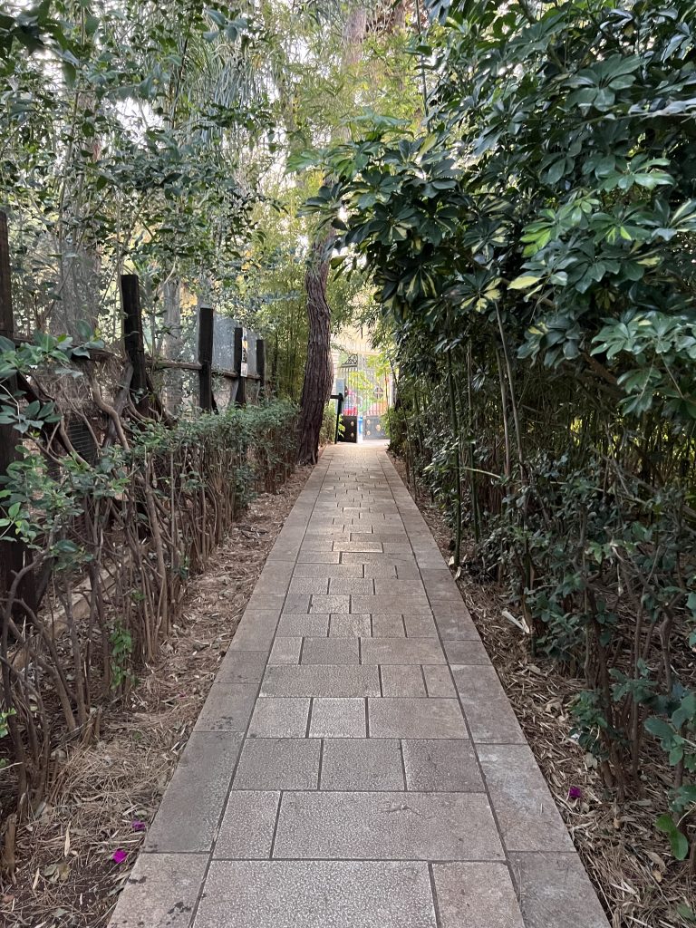 Παναγιά η Φανερωμένη, η Κυρά της Λευκάδας