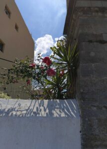 The Best Tour Services in Lefkada Part 2
