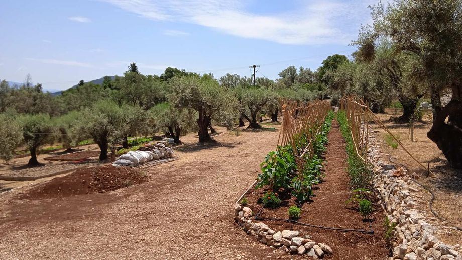 Lefkada MicroFarm