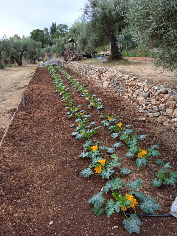 Lefkada MicroFarm