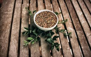 Exploring Lefkadian Delights: Must-Try Traditional Products of Lefkada, Greece