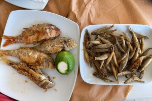 Some of our favorites fish restaurants around the island of Lefkada.