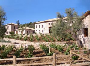Lefkada Food Tours : A unique experience!