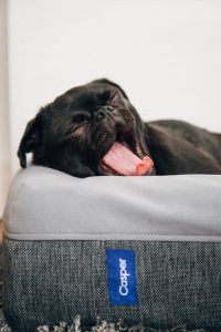 A mattress for your guest