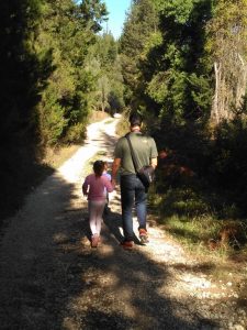 Hiking in Lefkada: Discover the fairy tale forests of Lefkada!