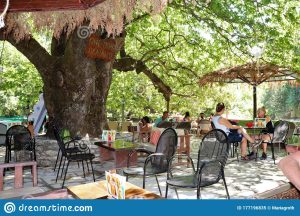 Coffee places and snack bars in wonderful landscapes