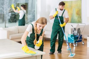 Lefkada, Vacation Property Maintenance Services