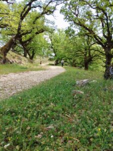 Lefkada in autumn: how to escape extreme summer heat!